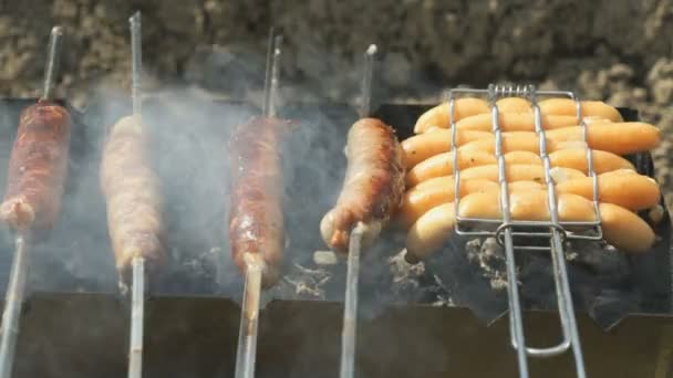 Sosis daging untuk barbecue untuk digoreng di panggangan — Stok Video
