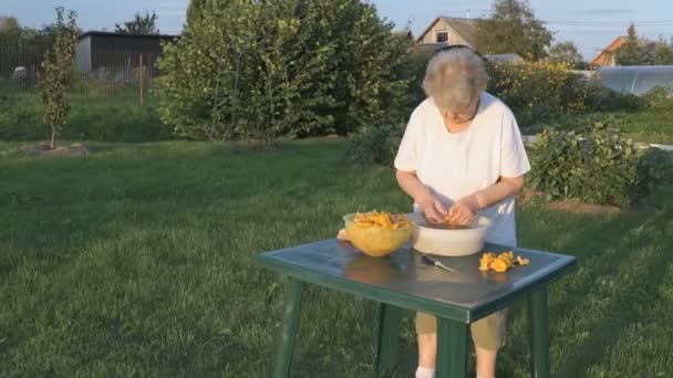 La donna anziana separa funghi finferli — Video Stock