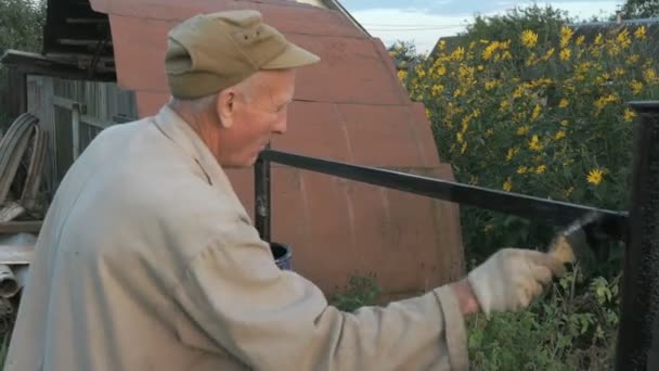 Jardineiro pintando a cerca de ferro usando tinta preta — Vídeo de Stock