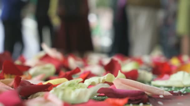 Tradition du mariage. Pétales de rose éparpillées sur le tapis — Video