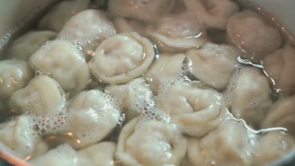 The homemade ravioli is cooked in a pan with the boiling water — Stock Video