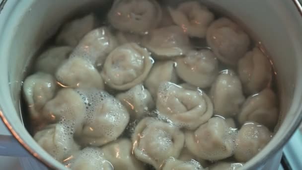 De huisgemaakte ravioli wordt gekookt in een pan met het kokende water — Stockvideo