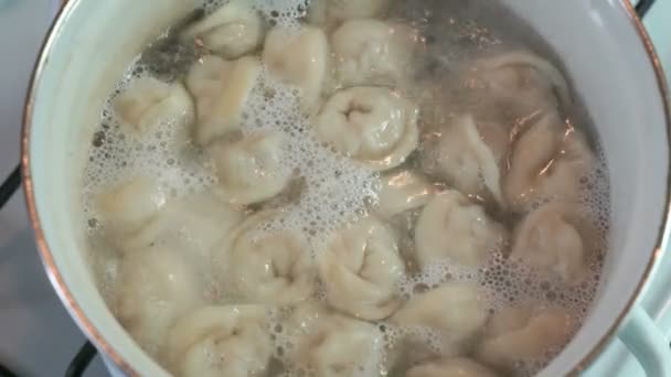 De huisgemaakte ravioli wordt gekookt in een pan met het kokende water — Stockvideo