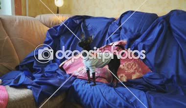 Üzerinde mavi bir kanepe kırmızı minderler ile bir oyuncak köpek oyuncak-korkunç yakalar