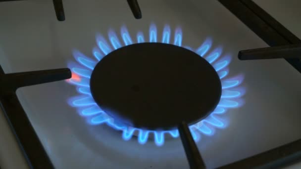 One gas burners burn blue flame on a gas stove — Stock Video