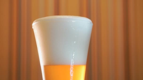 Hay un vaso transparente de cerveza ligera en la mesa — Vídeos de Stock