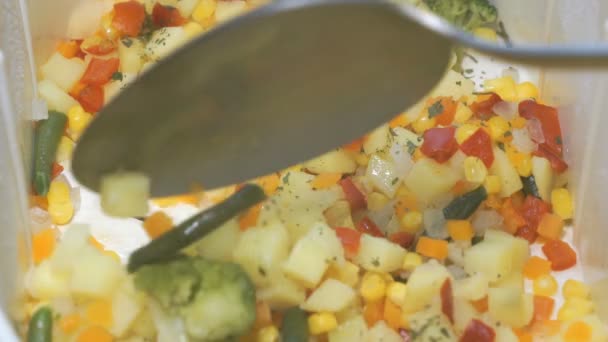 Diverse groenten worden gekookt in de elektrische witte dubbele boiler — Stockvideo