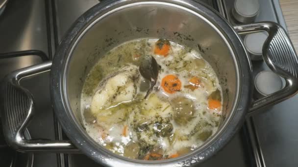 Cooking the Macrourus fish soup. Fish soup is cooked — Stock Footage Cooking the Macrourus fish soup. Fish soup is cooked Video Clip