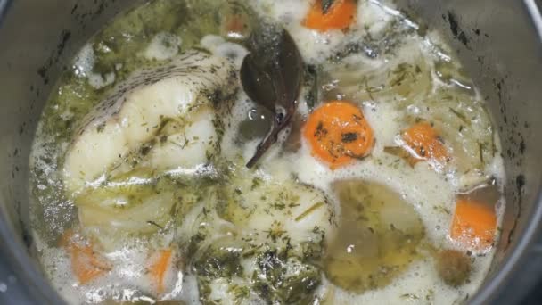 Vaření Macrourus rybí polévku. Rybí polévka se vaří — Stock video