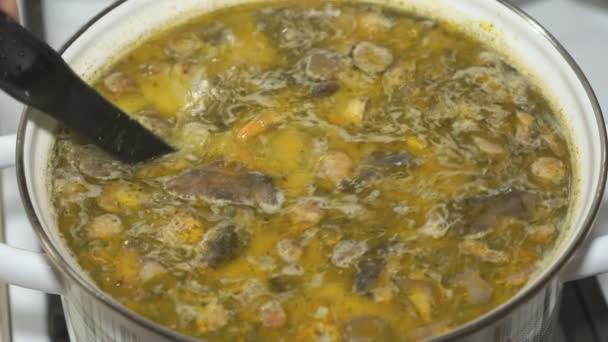 Приготовление грибного супа в кастрюле на плите — стоковое видео