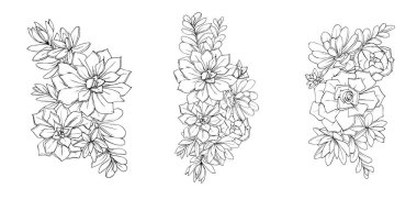 Çiçeklerin sulu çizimi. Grafik dekoratif element siyah ve beyaz.