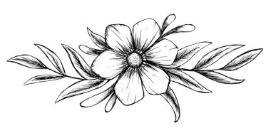 Çiçek çizimi el yazısı çizimi çizimi