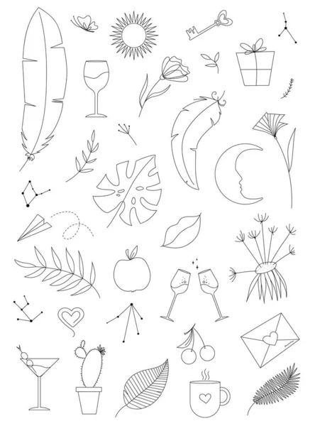 Set Linear Decor Elements Sketch Flowers Details — Stock Vector