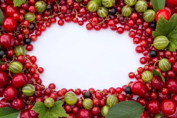 Rama ze świeżych jagód (wiśnie, porzeczki czerwone i czarne, agrest) z zielonych liści — Zdjęcie stockowe