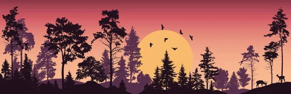 Wektor Drzew Leśnych Ilustracja Zachodu Słońca — Wektor stockowy