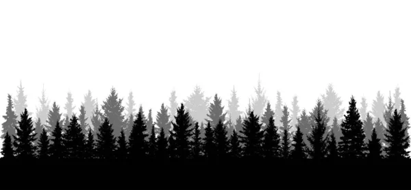 Panorama Beautiful Forest Silhouette All Spruces Separated Each Other Vector — Stock Vector