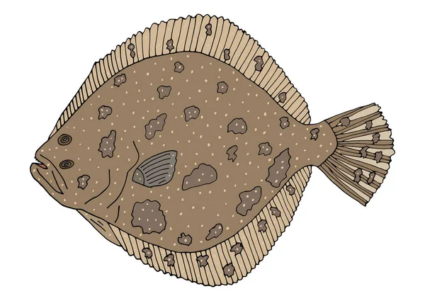 Рибний Турбот Намальований Вручну Красиві Кольорові Риби Ізольовані Білому Тлі — стоковий вектор