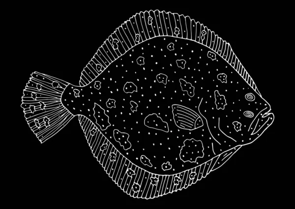 Риба Турбот Намальована Рукою Білий Контур Риби Чорному Тлі Елемент — стоковий вектор