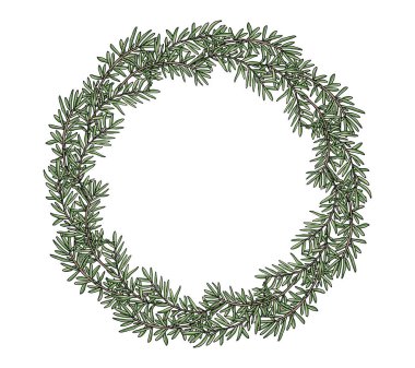 Biberiye çelengi çizilmiş, izole edilmiş. Güzel daire çerçeve, harfler için bir şablon. Vektör illüstrasyonu.