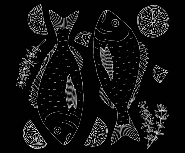 Ручний Малюнок Риби Дорадо Лимоном Спеціями Білий Контур Чорному Тлі — стоковий вектор