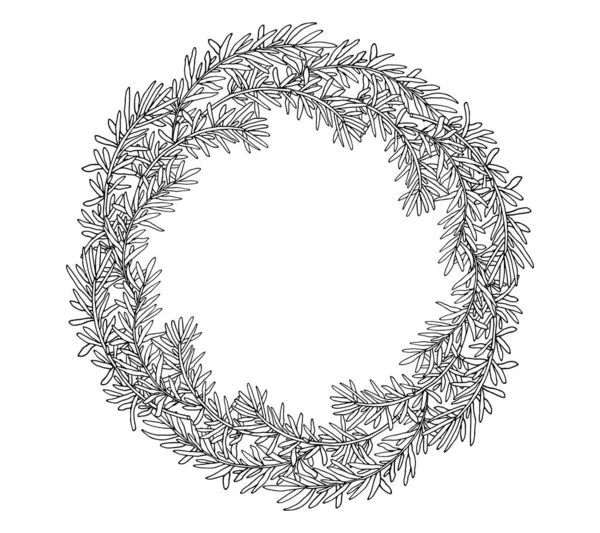 Στεφάνι Δεντρολίβανου Ζωγραφισμένο Απομονωμένο Όμορφο Πλαίσιο Κύκλου Πρότυπο Θέση Για — Διανυσματικό Αρχείο
