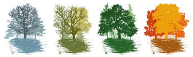 Four season, set of winter and spring and summer and autumn landscape, forest. Beautiful silhouettes of different trees. Vector illustration.
