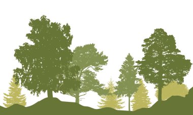 Bahar sezonu. Güzel ormanın silueti. Farklı ağaçlar, huş ağacı, köknar, çam, kozalaklı ağaçlar. Vektör illüstrasyonu.