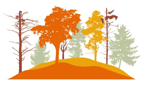 Forêt Automne Silhouette Arbre Arbres Feuilles Sapins Belle Nature Paysage — Image vectorielle