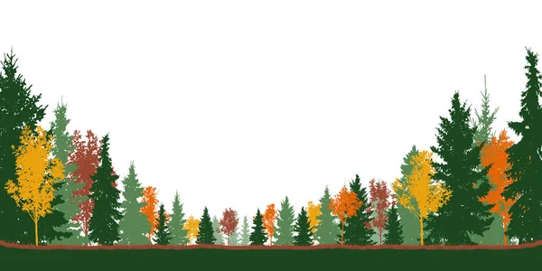 Jesienny Las Kolorowe Drzewa Zielone Świerki Ilustracja Wektora — Wektor stockowy