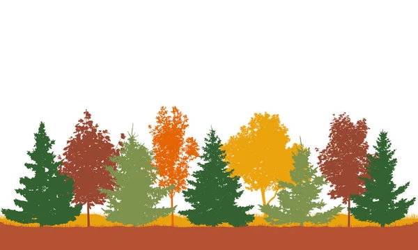 Saison Automne Beaux Frênes Érable Épicéa Couleur Forêt Parc Forêt — Image vectorielle