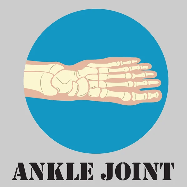 Human ankle joint emblem — Stock Vector