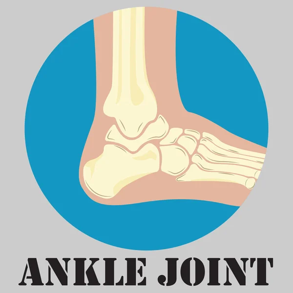 Human ankle joint emblem — Stock Vector