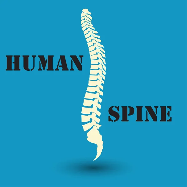 Silueta de una columna vertebral humana — Archivo Imágenes Vectoriales