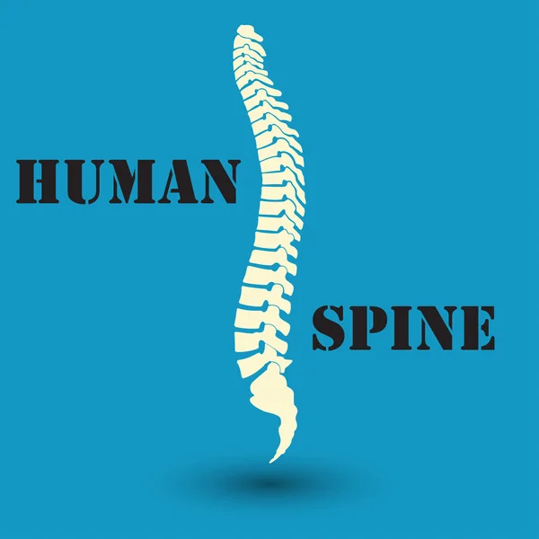 Silhouet van een menselijke wervelkolom — Stockvector