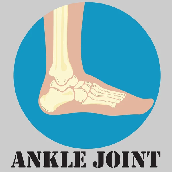 Human ankle joint emblem — Stock Vector