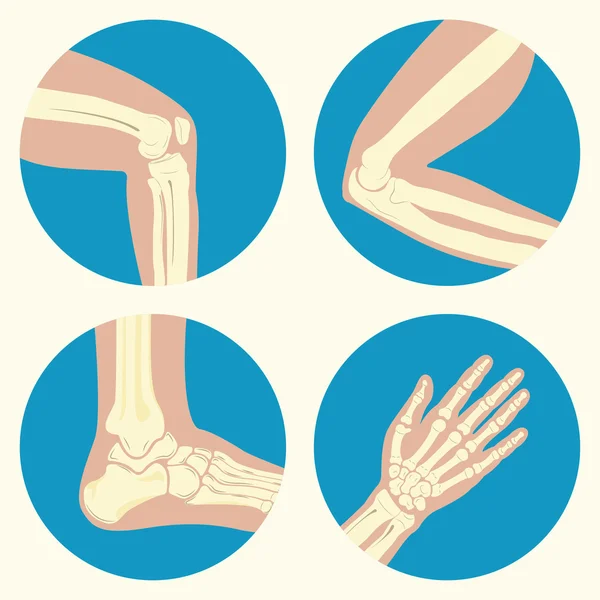 Set of human joints — Stock Vector