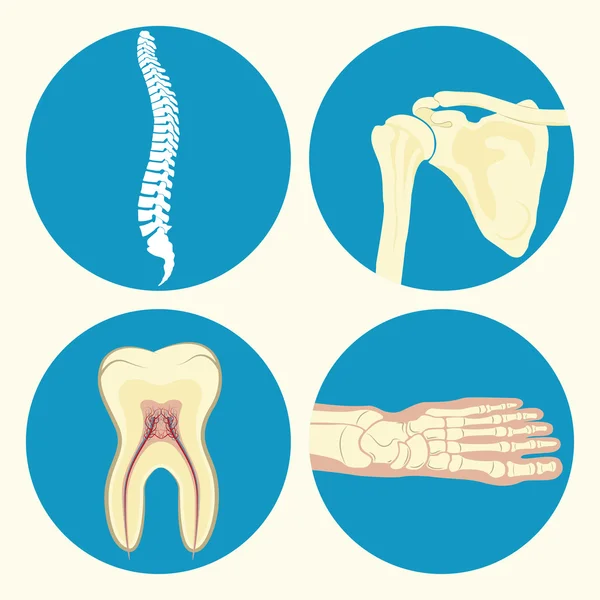 Medical icons set — Stock Illustration Medical icons set Royalty Free Stock Illustrations