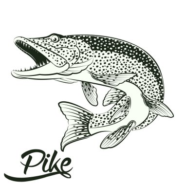 İzole Pike atlama