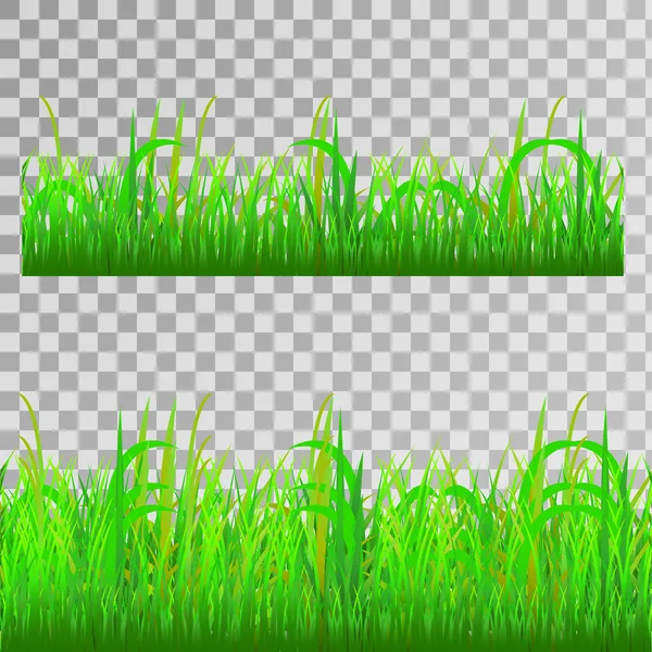 Green grass seamless — Stock Vector