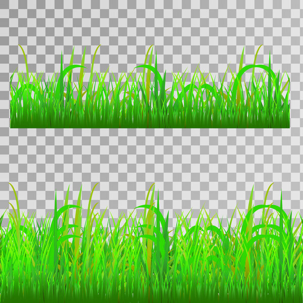 Green grass seamless