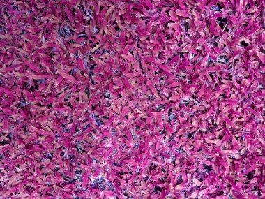 Yeşil çim sorunsuz doku arka plan