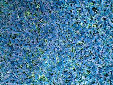 Yeşil çim sorunsuz doku arka plan