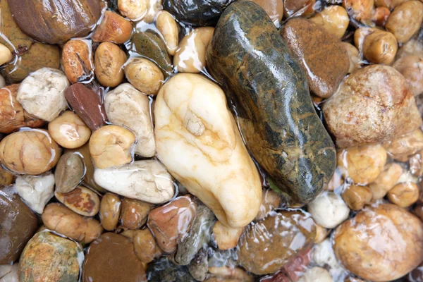 Runde Steine im Hintergrund eines Gebirgsflusses. — Stockfoto