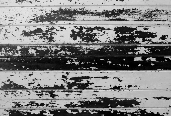 A tinta preta da floresta está descascando papel de parede — Fotografia de Stock