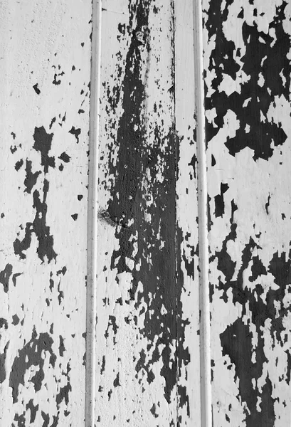 A tinta preta da floresta está descascando papel de parede — Fotografia de Stock