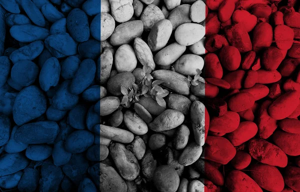 Français plus fort, prier pour le français, prier pour Nice drapeau français sur le rocher signifiant plus fort — Photo