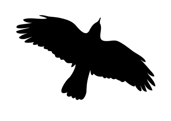 Eagle vector kort bakgrund — Stock vektor