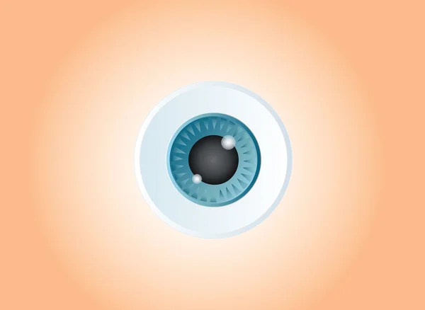 Eyeball vector , eye illustration — Stock Vector