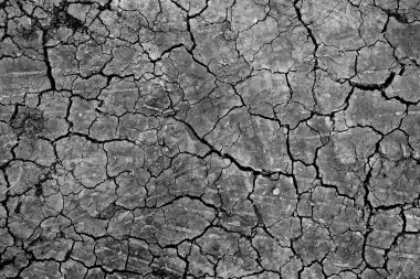 siyah kuru zemin duvar kağıdı