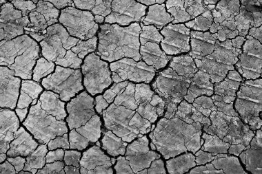 siyah kuru zemin duvar kağıdı